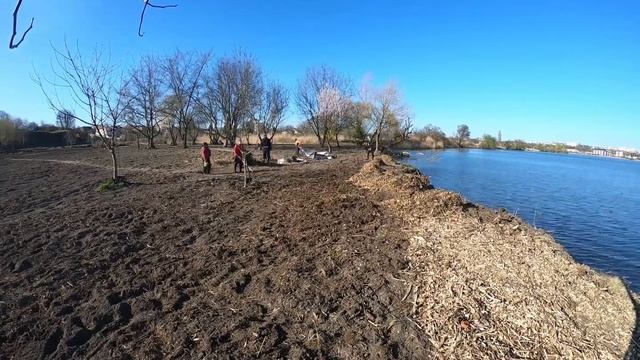 Оствиця. Сіємо конюшину смотреть онлайн