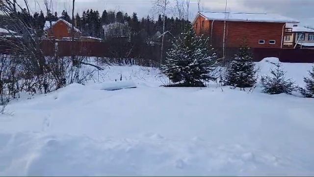 Видео 2457 смотреть онлайн