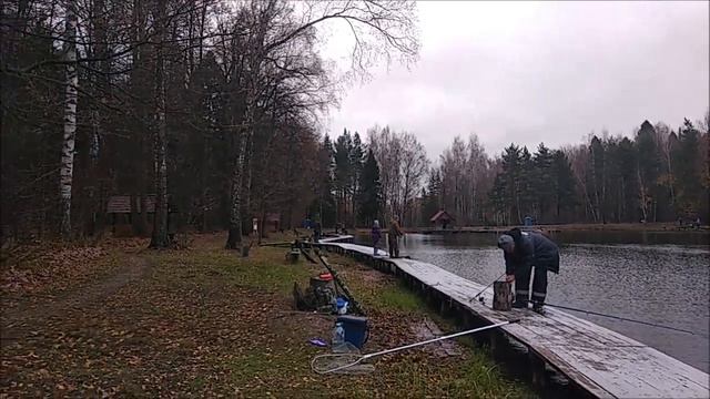 Работают стационарные снасти. Клёвое место, Лосиный остров, верхний водоём. смотреть онлайн