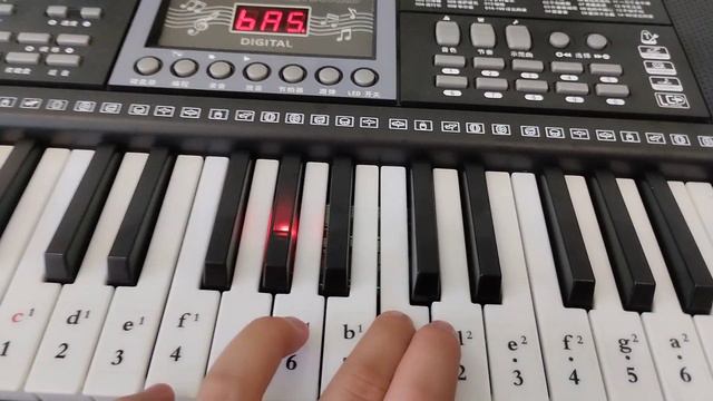 San Sen BD Music BD-670 keyboard follow function song on "只有你". смотреть онлайн