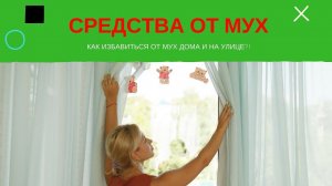 Как избавиться от мух дома и на улице