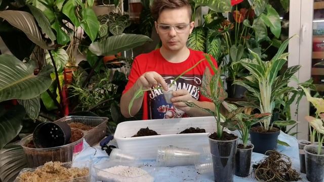 Будни цветовода//МЕГА пересадка//Растения которые не хотят дружить смотреть онлайн
