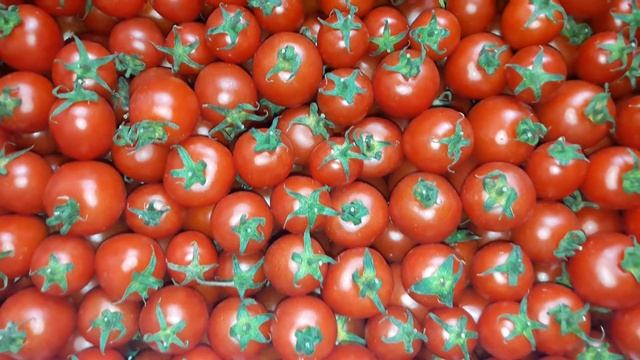 Томаты Черри Азербайджан