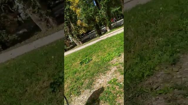 делаем добро и раздаём конфетки