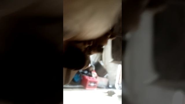 опель. не проходит адаптация на хорошем сцепления. причины смотреть онлайн