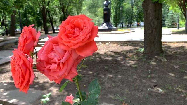 КТО ЛЮБИТ РОЗУ, ПОЛЮБИТ И ШИПЫ! Донецк Сегодня! Донбасс Cinematic 4K Video смотреть онлайн