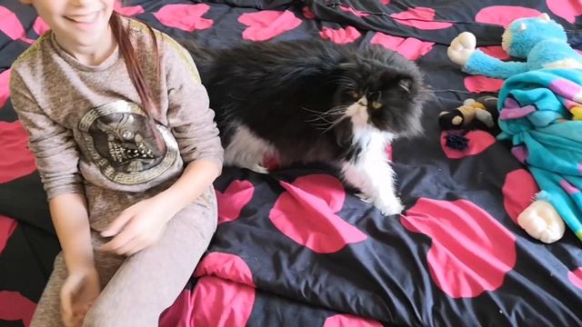 Эир Тач окрашивание волос/ Домашний влог смотреть онлайн