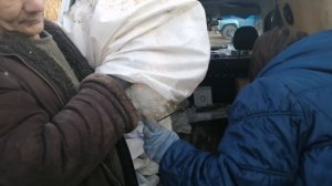 Как определить гусь или гусынька? 100% проверенный способ-по клоаке.