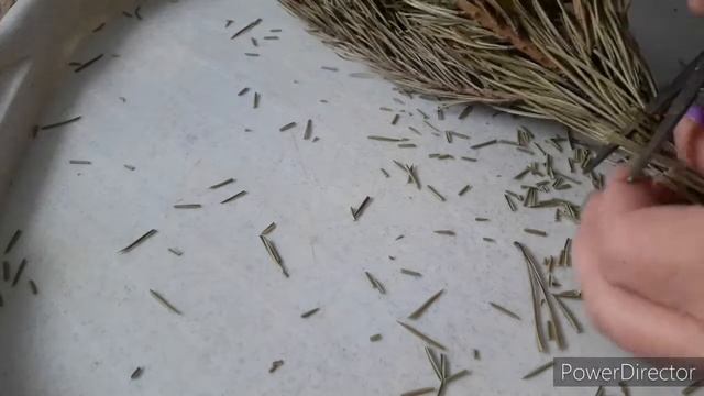 Грязный чайник. Сосновые иголки. Самый простой салат. #инсулин смотреть онлайн