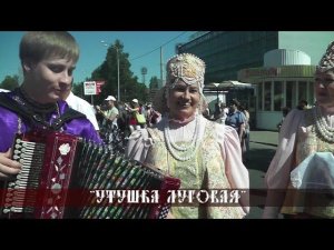 Антари Поморья - Утушка луговая