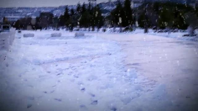 Снежный человек в Баку!