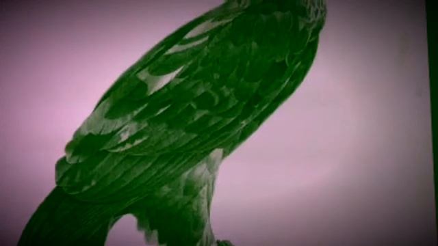 Leon Qafzezi Channel:Java e Kultures Egjyptiane,22 September 2022 смотреть онлайн