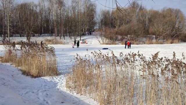 Питер Пулковский парк 12.02.2023 смотреть онлайн