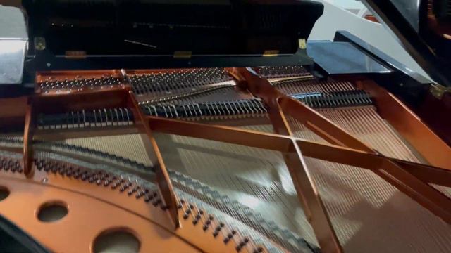 Atlantic Music Center - Bosendorfer 170 Grand Piano смотреть онлайн