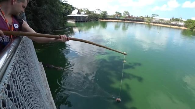 Pattay крокодиловая ферма смотреть онлайн