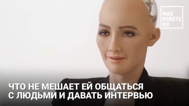 Андроиду дали гражданство в Саудовской Аравии смотреть онлайн