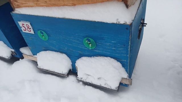 ?❄❄? . Продолжение о сверхранней выставке . ЗИМУЕМ !!!! смотреть онлайн