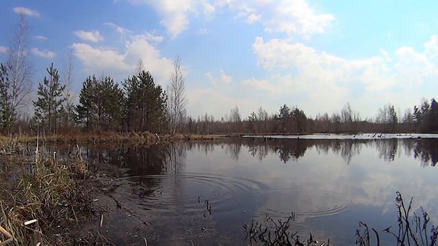 Ротаны. Fishing, Russian style! смотреть онлайн