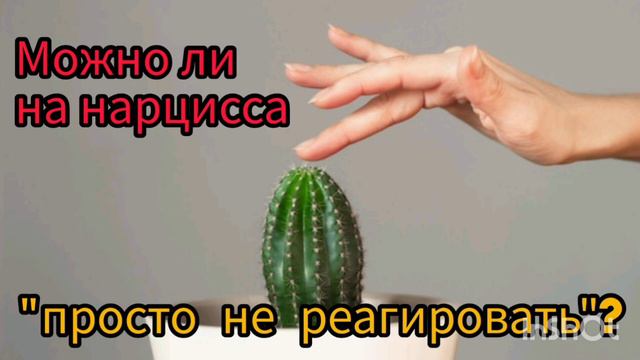 Можно ли на нарцисса "просто не реагировать" ? смотреть онлайн