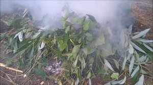 Копчение рыбы на природе без коптильни