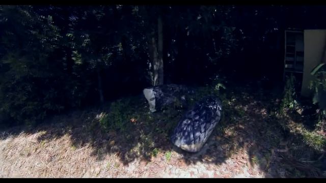 11 серия.остров Лангкави,Малайзия. смотреть онлайн