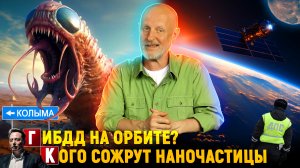 Нечто на Колыме, космическое ГИБДД, квазары и замедленное время | Новости науки