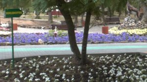 База отдыха Лазурит Волгоград-территория, ресторан, пляж, бассейны, зоопарк, спортивные площадки