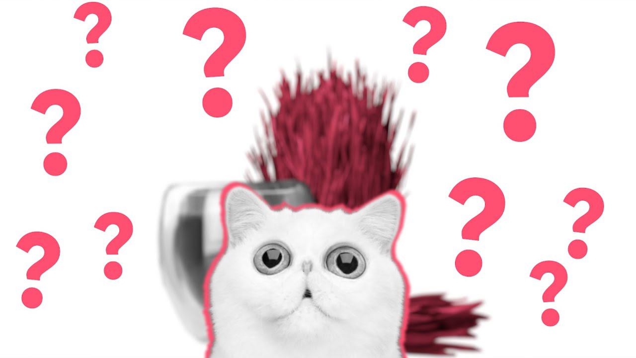 Евгений Стоцинский: 5 ошибок начинающего предпринимателя смотреть онлайн