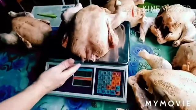 Бройлер кобб-500. Возраст 57 дней. Забой. Чистый выход тушки. смотреть онлайн