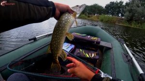 Свимбейты на щуку. Рыба есть, а поймать невозможно!