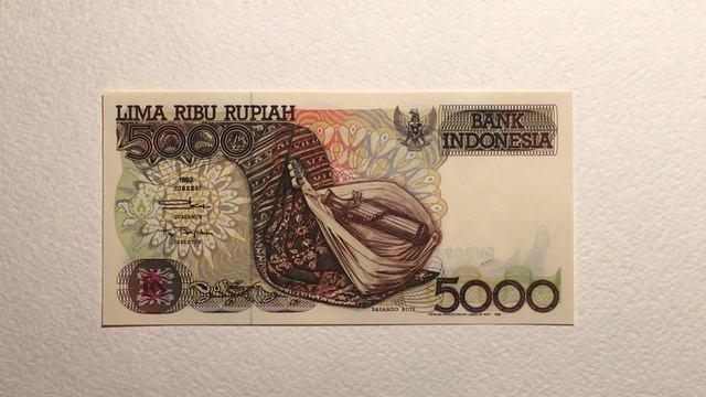 Обзор посылки с банкнотами №20-18 Parcel With Banknotes Overview #20-18 смотреть онлайн