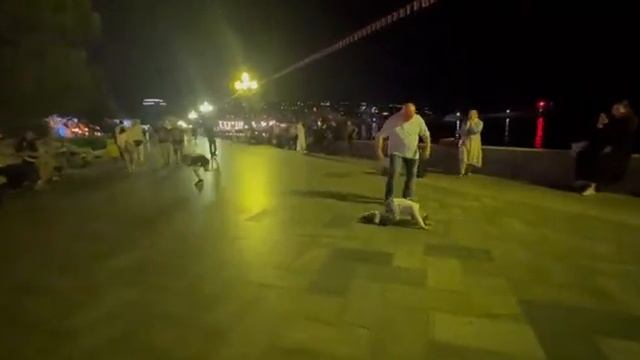 Смешной танец на набережной Ялты. Пою "Оставайся, мальчик, с нами" и хохочу. Мила Молитвина смотреть онлайн