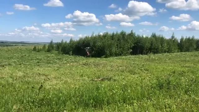 Кусторез К 1.7 М смотреть онлайн