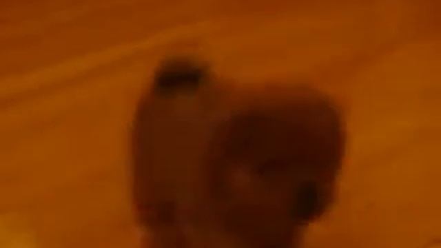 Копия видео My Edited Video смотреть онлайн