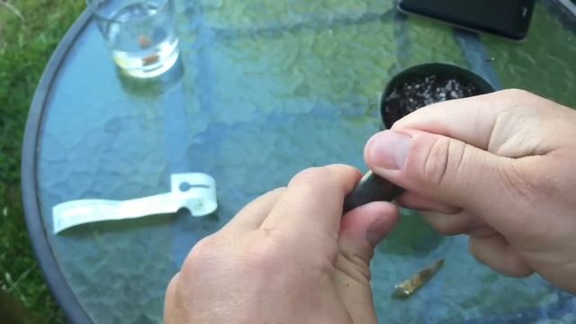 GROWING WISTERIA FROM SEED / HOW TO PLANT WISTERIA смотреть онлайн