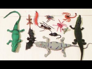 Дурацкий обзор на игрушки животные.Голодные крокодилы едят всех и динозавров.Review on toy animals.