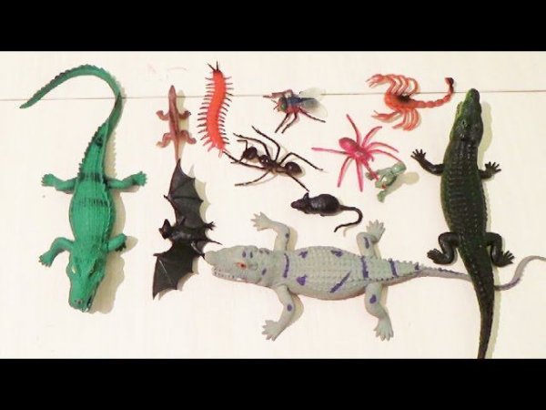 Дурацкий обзор на игрушки животные.Голодные крокодилы едят всех и динозавров.Review on toy animals.