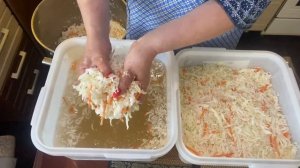Солим капусту старым, проверенным способом