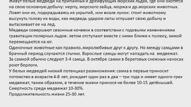 Информация про белых мишек. смотреть онлайн