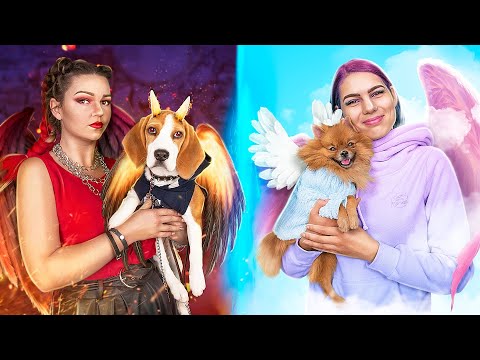 Милая и дерзкая владелица животного.mp4 смотреть онлайн