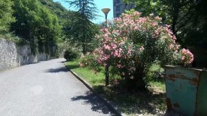 Санаторий САНА Абхазия Гагра [ПОЛНЫЙ ОБЗОР] санатория САНА лето июль 2022. Абхазия Новая Гагра САНА