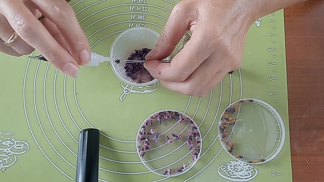 Lavanda Video 8
