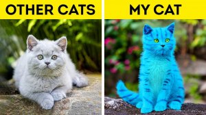 Детские гаджеты и хаки для питомцев??