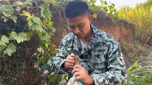 小夥準備改造養殖場，花1400組的老房子，要充分利用所有空間【石頭記事】