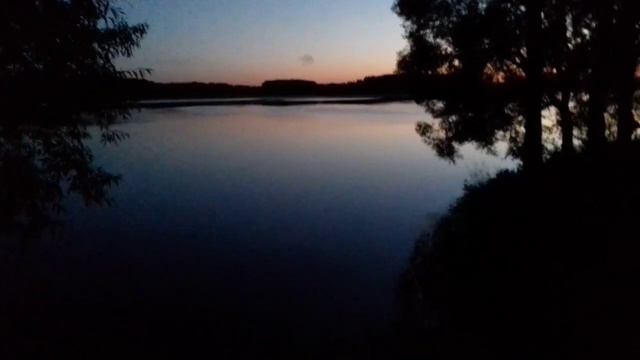 рыбалка 2021 Истринское водохранилище. Берегите природу! Она и так беззащитная ( смотреть онлайн
