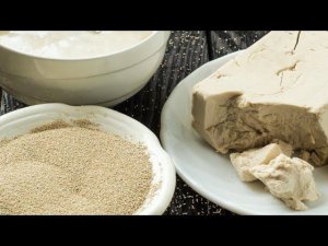 Дрожжи. Сухие или "живые"? Мой выбор дрожжей.