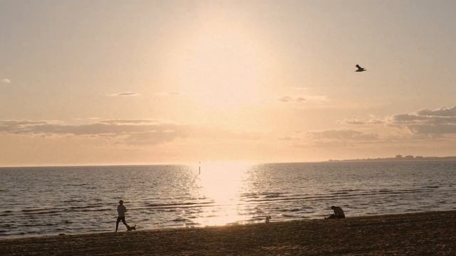 Going to the Beach - Short Film | Fujifilm XT30 4K | Relaxing Melbourne Afternoon смотреть онлайн