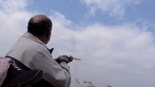 Matli - hunting of migratory game birds (common coot - AARRI) (Dated= 24-01-2012) смотреть онлайн