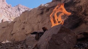 Старец Паисий Святогорец. Синайский отшельник.