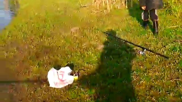 Клевое местечко в Пензенской области. смотреть онлайн